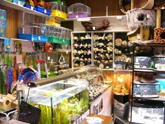 ���������� � ��������