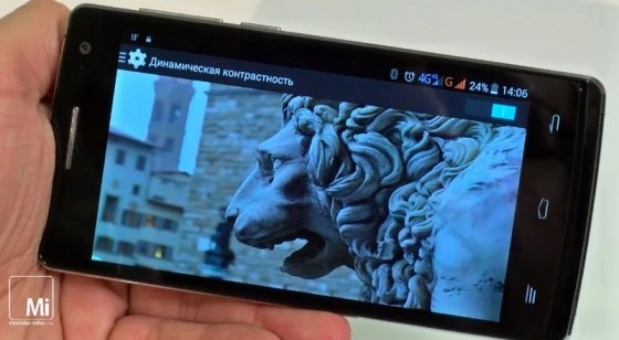 Jinga Moguta S1